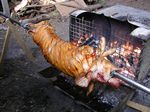 Das Ferkel nimmt langsam Farbe an