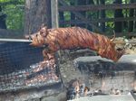Wird immer leckerer